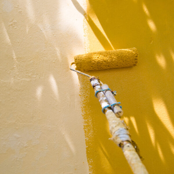 Stucco Paint Options